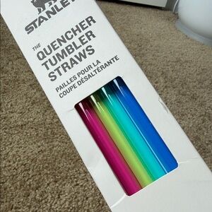 Stanley Multicolor Quencher Tumbler Straws